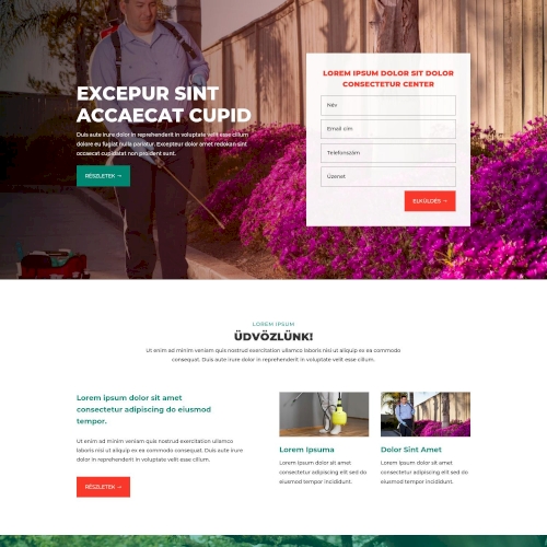 Kártevőirtás – Weboldal terv Divi-hez